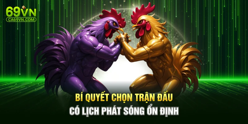 Bí quyết chọn trận đấu có lịch phát sóng ổn định