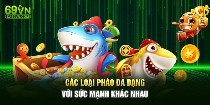 Các loại pháo đa dạng với sức mạnh khác nhau